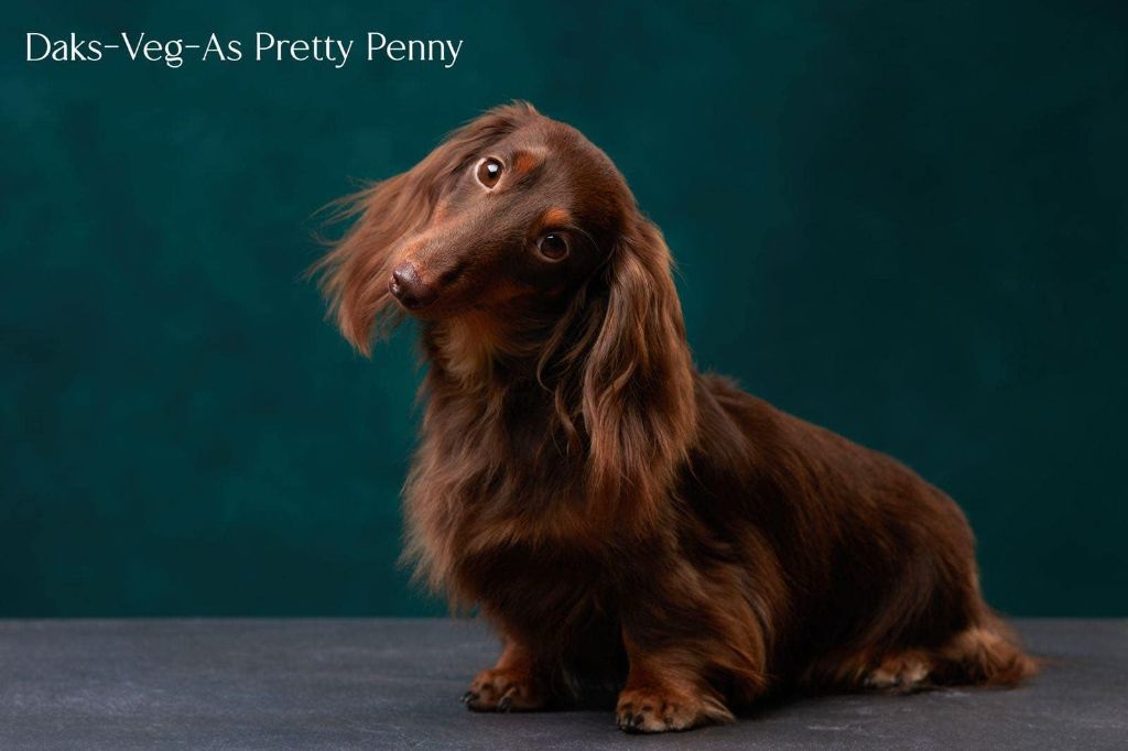 daks-veg-as Pretty penny