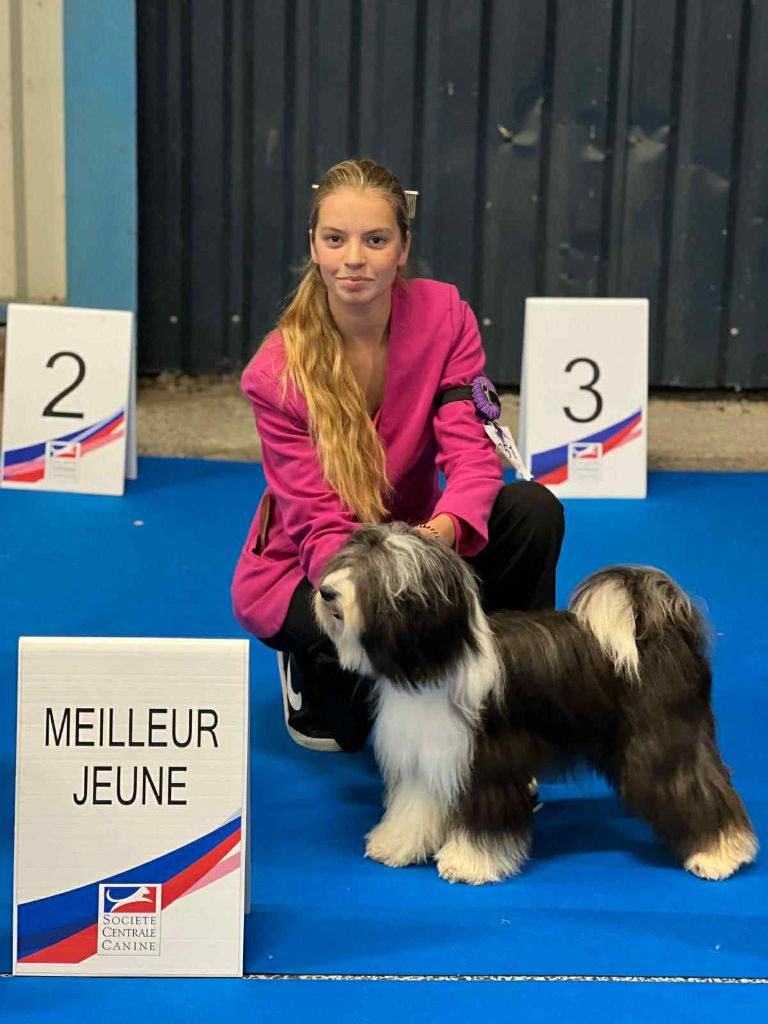 CH. Cinnamon pearl of Atisha's